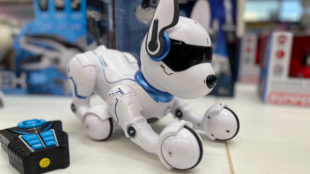 Die besten Roboter-Hunde im Test - © Christian Eberle-Abasolo / dadslife.at