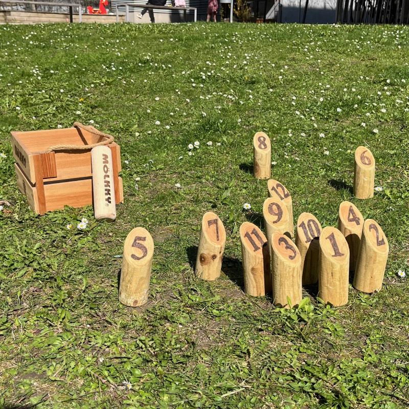 Mölkky Das Original im Test und gute Alternativen 2025 Dad's Life